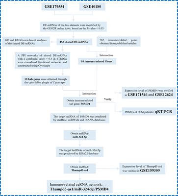 Identification and Validation of Immune-Related Biomarker Gene and Construction of ceRNA Networks in Septic Cardiomyopathy